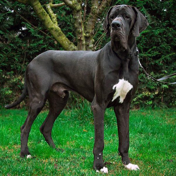 Unforgettable del Nord Ovest