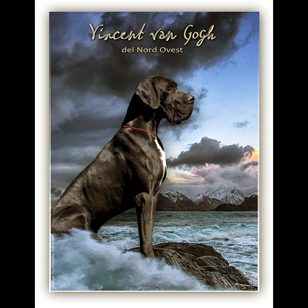 Ch. Vincent Van Gogh del Nord Ovest Ch. Vincent Van Gogh del Nord Ovest